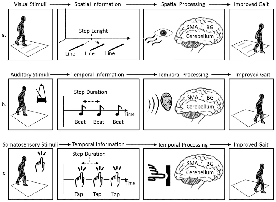 Wearable Cueing Devices