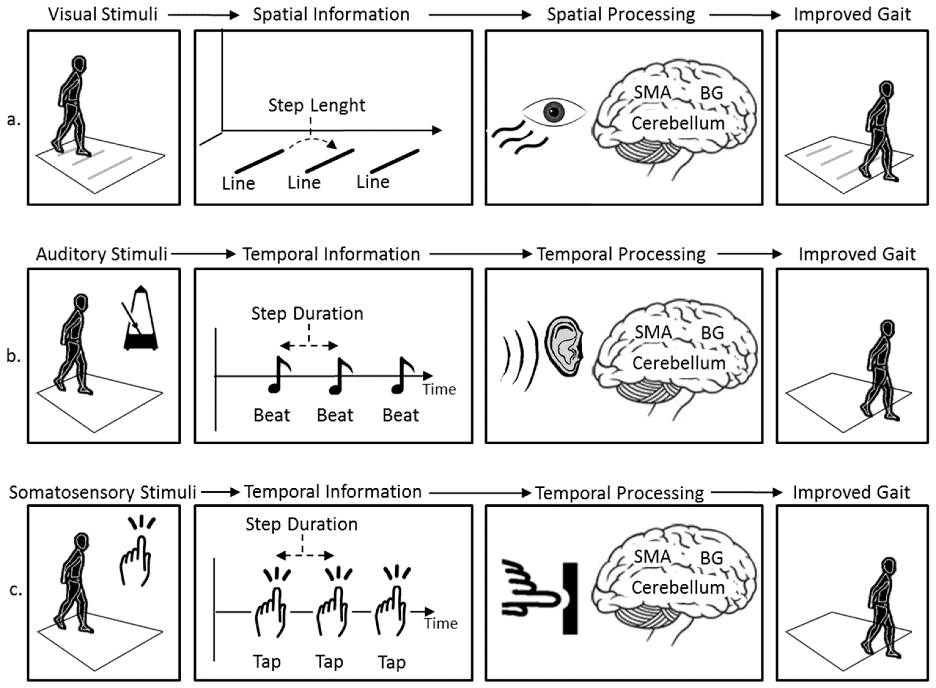 Wearable Cueing Devices